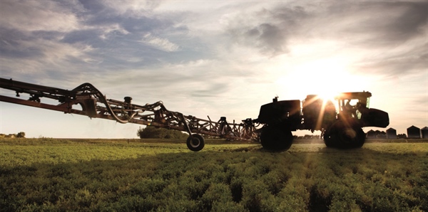 AGRICOLTURA, MERCURI (ALLEANZA COOPERATIVE), “POSITIVA DECISIONE CONFERENZA STATO-REGIONI DI AUMENTARE PAGAMENTO ACCOPPIATO”